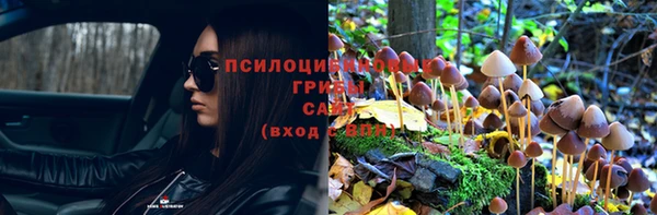 соль курить ск Алексин